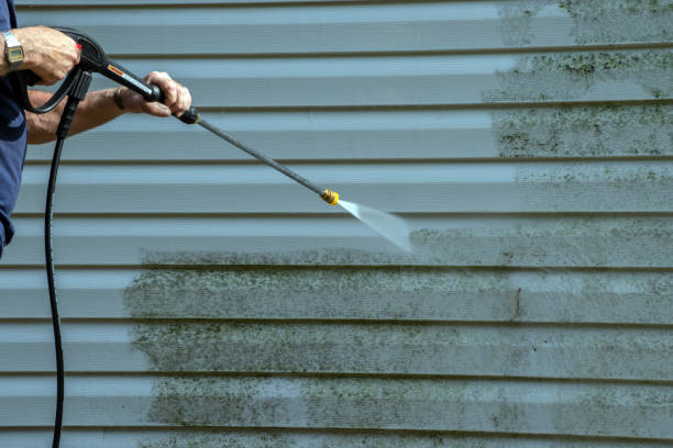Best Affordable Pressure Washing  in Plymouth, MI